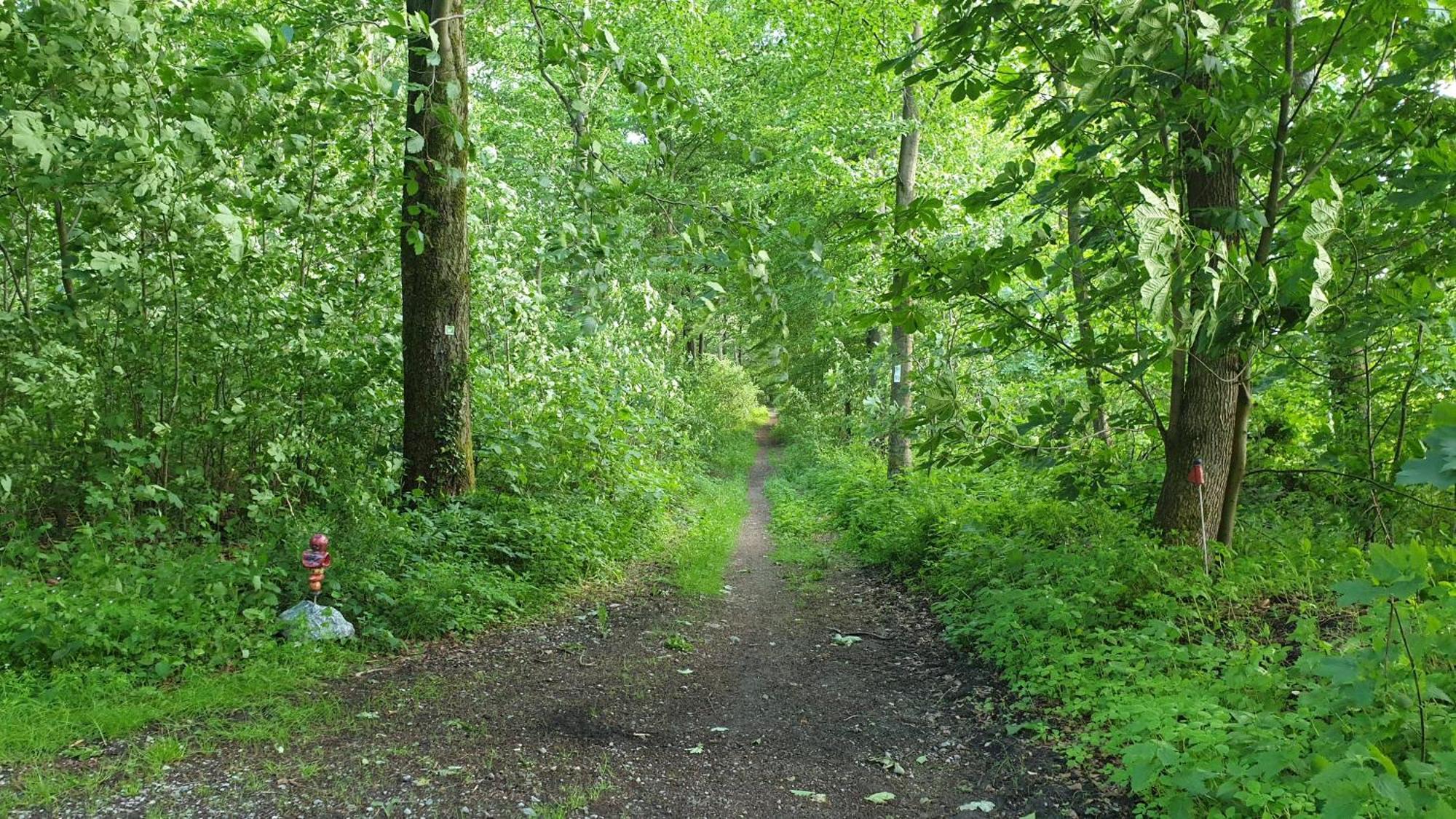 Fewo Herbst In Der Villa Waldrand Mit Luxus Bad Bad Wünnenberg Extérieur photo
